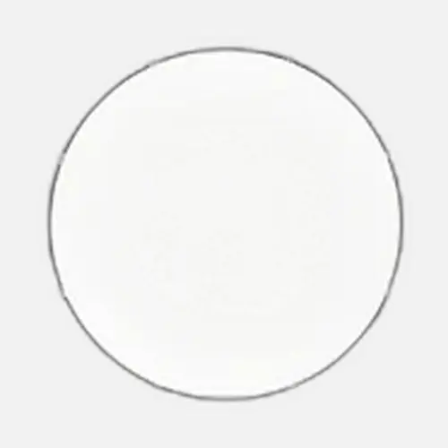 Profoto OCF Beauty Dish 2' Silver