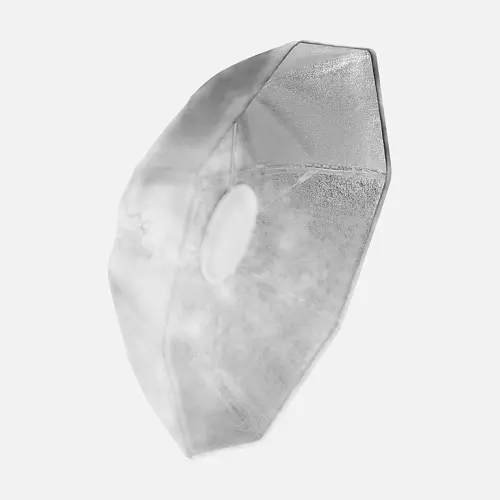 Profoto OCF Beauty Dish 2' Silver