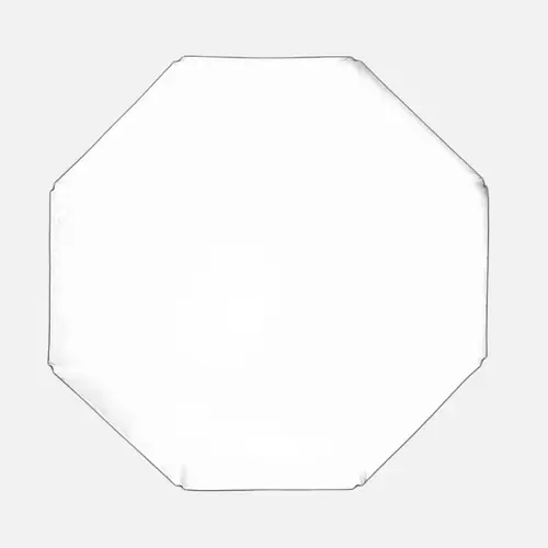 Profoto OCF Softbox  Octa 2'