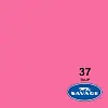 HG 2,75m - TEIL - SAV37 Tulip