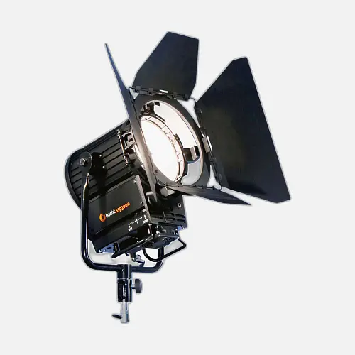 Bacht Fresnel Spot FS250 - Profoto Anschluss